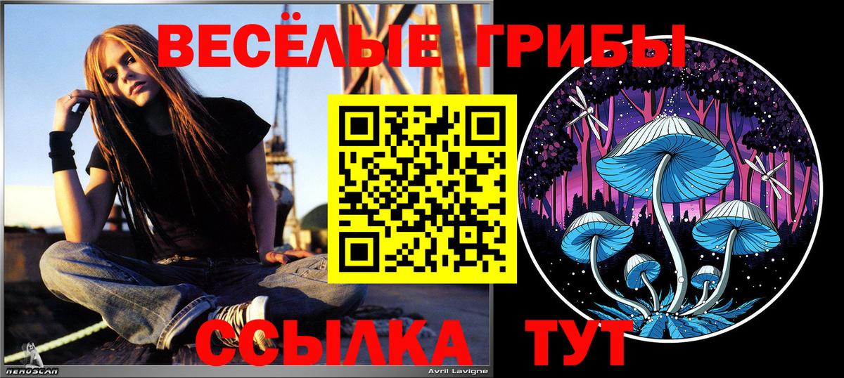 Псилоцибиновые грибы MAGIC MUSHROOMS  Галлюциногенные грибы ЛСД  Вход с VPN  Воскресенск 
